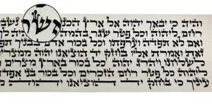 בנוסח הארי