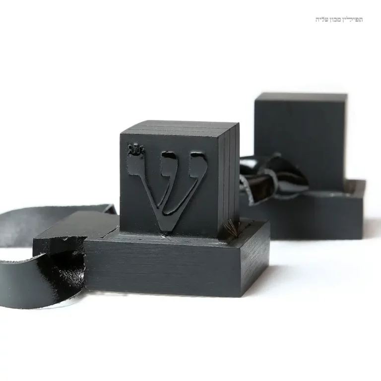 זוג תפילין חסידי