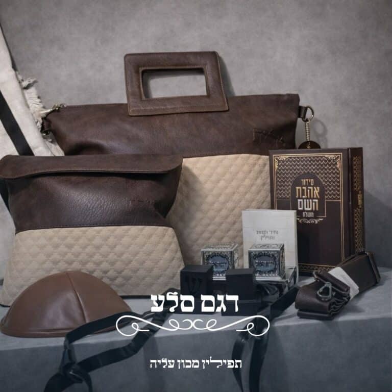 דגם סלע