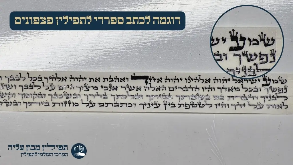 דוגמה לכתב ספרדי לתפילין פצפונים פרשת שמע