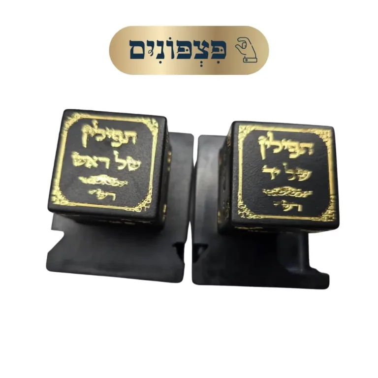 פצפונים בתים רש״י