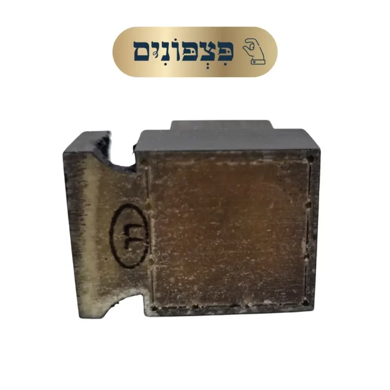 ר״ר פצפונים