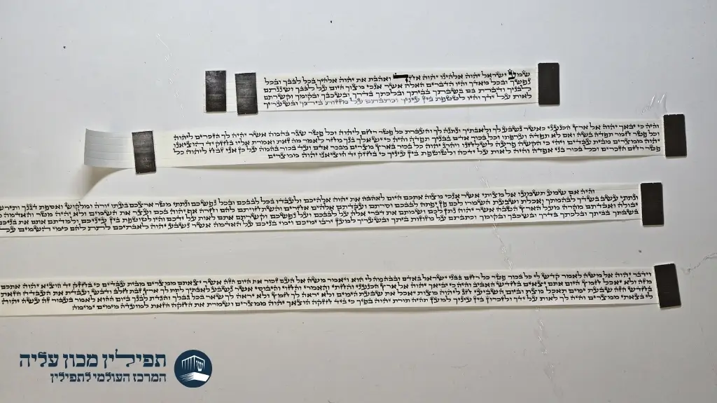 פרשיות תפילין פצפונים ספרדיות