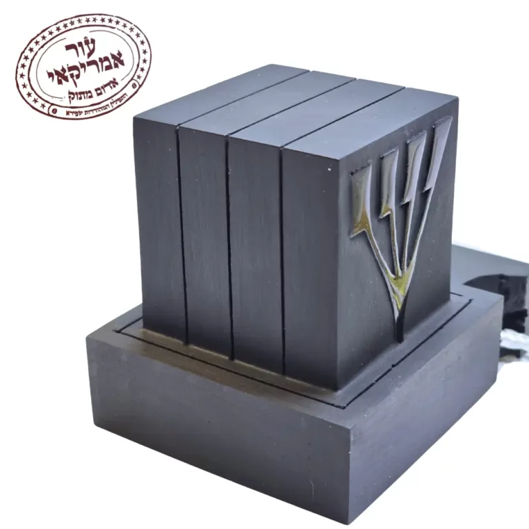 תפילין חב״ד של ראש