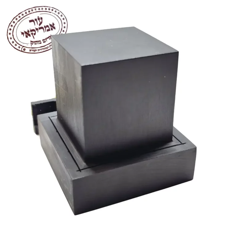 תפילין חב״ד של יד