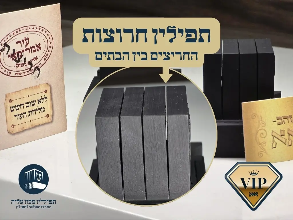 תמונה להצגת החריצים בתפילין חרוצות