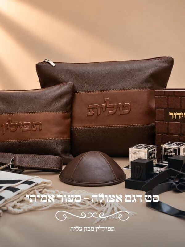סט טלית ותפילין מעור אמיתי דגם אצולה בגווני חום