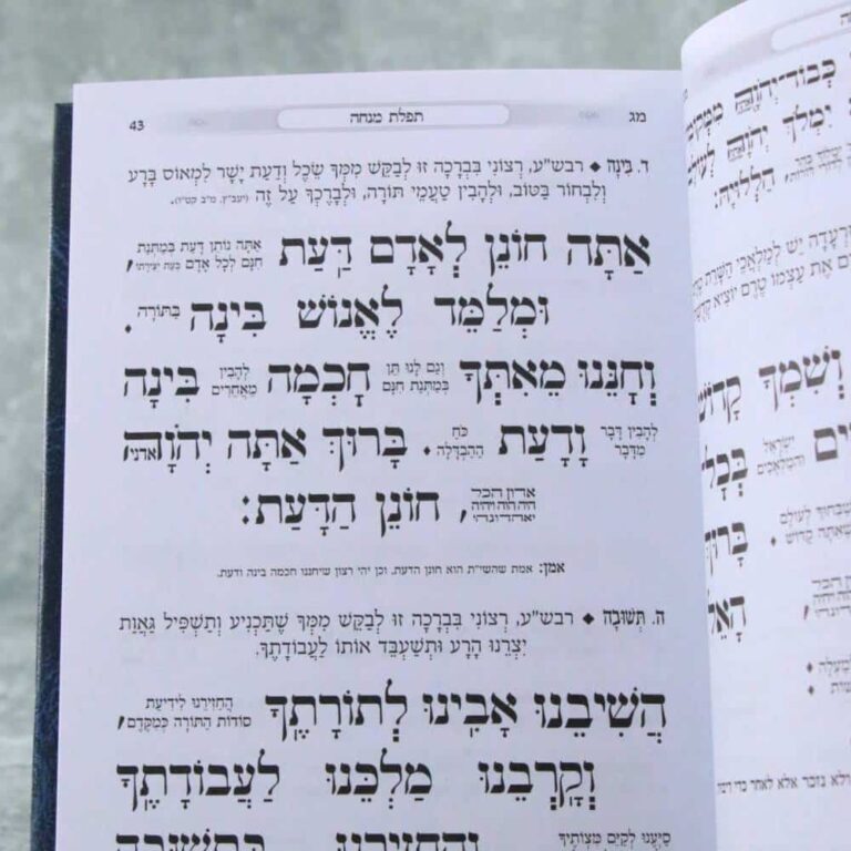 עמוד פנימי בסידור כוונת הלב עם כתב מוגדל ופירוש בין המילים