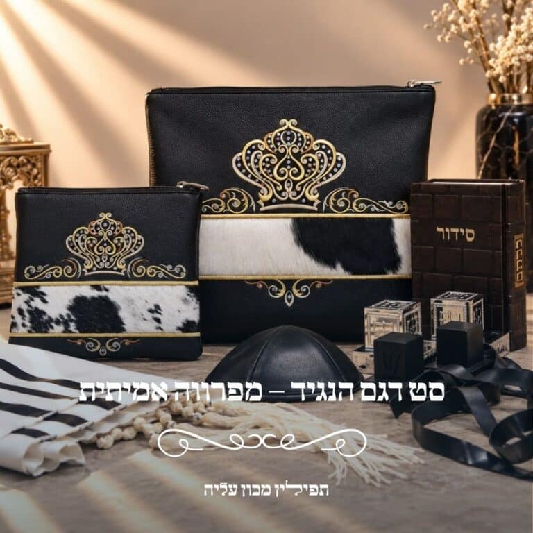 nagid-royal-tefillin-bar-mitzvah-set
